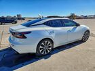 2023 Nissan Maxima 3.5 Platinum White vin: 1N4AA6FVXPC502634