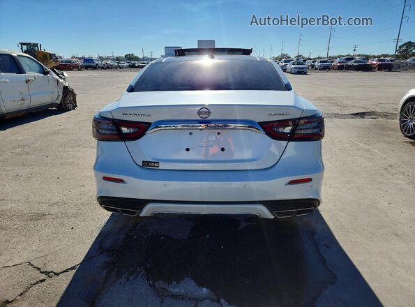 1N4AA6FVXPC502634 2023 NISSAN MAXIMA White Widok z tyłu