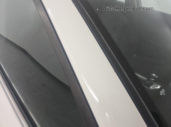 1N4BL4BV4LC234876 2020 NISSAN ALTIMA Белый 