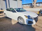 2024 Nissan Altima 2.5 Sr Белый vin: 1N4BL4CV1RN344490
