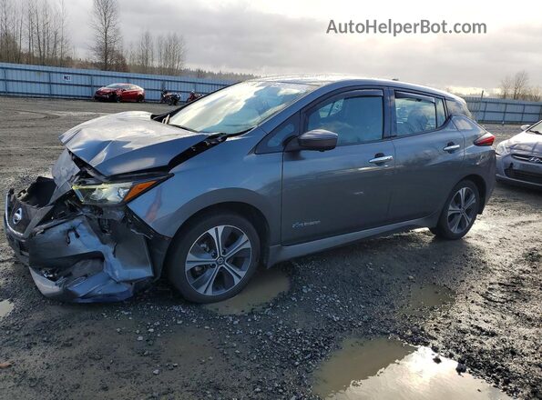 1N4BZ1CP9KC308501 2019 NISSAN LEAF Silver Przód lewy