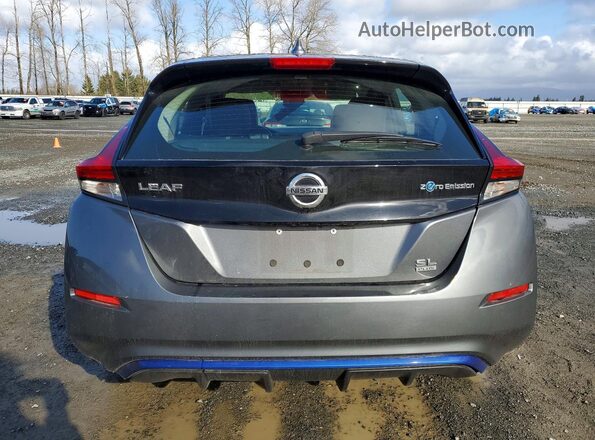 1N4BZ1CP9KC308501 2019 NISSAN LEAF Silver Widok z tyłu