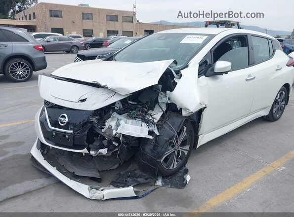 1N4BZ1CV4MC556432 2021 NISSAN LEAF Белый Вид спереди