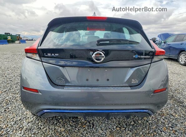1N4BZ1DP4LC306798 2020 NISSAN LEAF Gray Հետևի տեսք