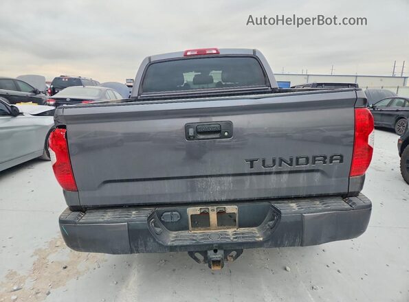 5TFDY5F16KX851933 2019 TOYOTA TUNDRA Серый Вид сзади