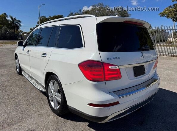 4JGDF6EE7GA661595 2016 MERCEDES-BENZ GL-CLASS White Tył prawy