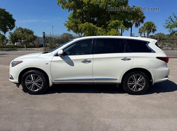 5N1DL0MN4LC547527 2020 INFINITI QX60 Белый Панорамный вид салона 360°