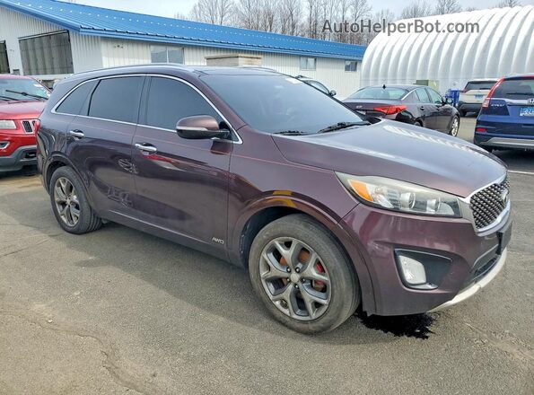 5XYPKDA54GG017303 2016 KIA SORENTO Фиолетовый Вид спереди