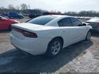 2021 Dodge Charger Sxt Rwd Белый vin: 2C3CDXBG2MH536653 2021 Dodge Charger Sxt Rwd Белый vin: 2C3CDXBG2MH536653
