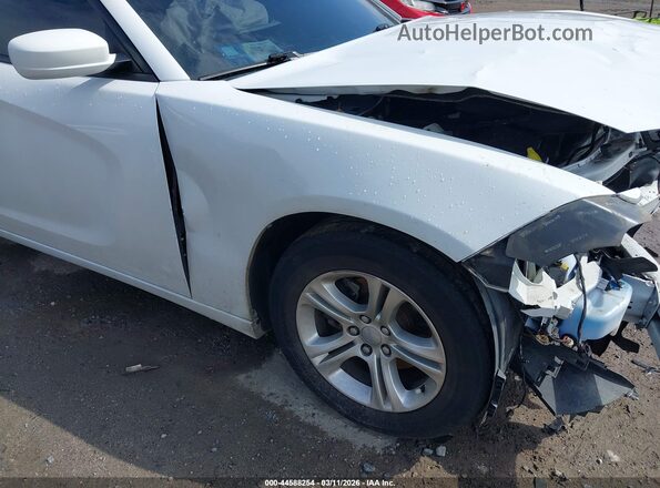 2C3CDXBG2MH536653 2021 DODGE CHARGER Белый 