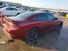 2019 Dodge Charger Sxt Красный vin: 2C3CDXBG3KH668236