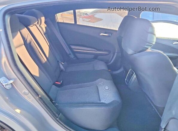 2C3CDXBG4KH664342 2019 DODGE CHARGER Серый Вид задних сидений
