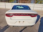 2019 Dodge Charger Sxt Белый vin: 2C3CDXBG4KH695638 2019 Dodge Charger Sxt Белый vin: 2C3CDXBG4KH695638