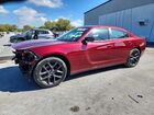 2019 Dodge Charger Sxt Burgundy vin: 2C3CDXBG5KH571958
