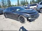 2022 Dodge Charger Scat Pack Gray vin: 2C3CDXGJ1NH264246