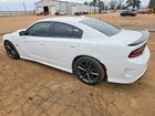2019 Dodge Charger Scat Pack White vin: 2C3CDXGJ3KH558842
