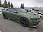 2019 Dodge Charger Scat Pack Зеленый vin: 2C3CDXGJ4KH742672