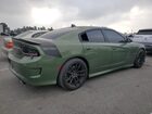 2019 Dodge Charger Scat Pack Зеленый vin: 2C3CDXGJ4KH742672