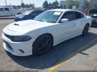2019 Dodge Charger Scat Pack Rwd Белый vin: 2C3CDXGJ5KH716307