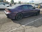 2020 Dodge Charger Scat Pack Фиолетовый vin: 2C3CDXGJ5LH192268