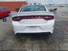 2019 Dodge Charger Gt Rwd White vin: 2C3CDXHG0KH566903