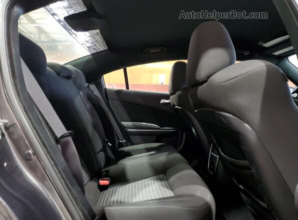 2C3CDXMG3LH249916 2020 DODGE CHARGER Угольный Вид задних сидений