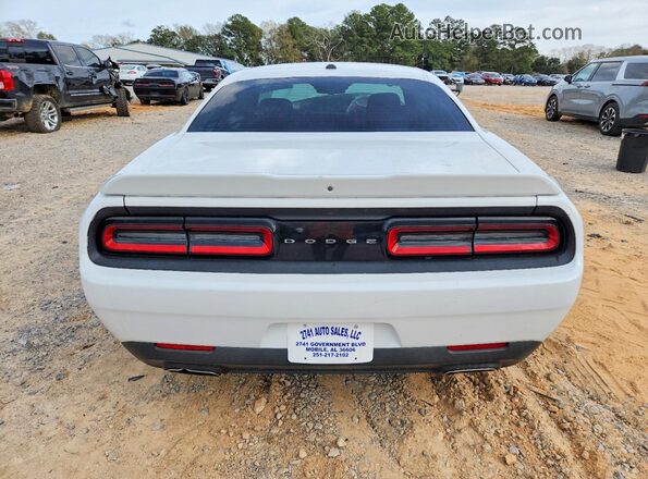 2C3CDZAG2KH632311 2019 DODGE CHALLENGER Белый Вид сзади