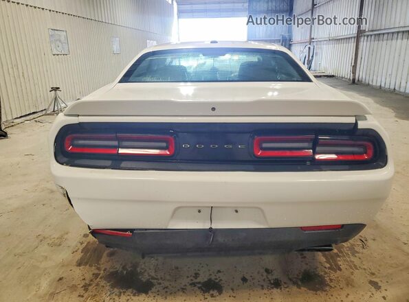 2C3CDZBT1KH573537 2019 DODGE CHALLENGER Белый Вид сзади