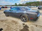 2019 Dodge Challenger Серый vin: 2C3CDZBT1KH641836