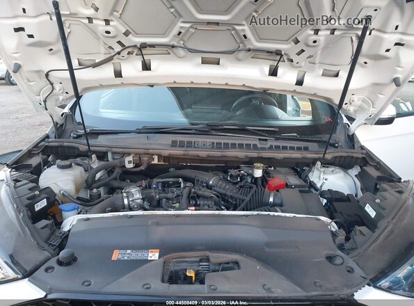 2FMPK4AP7RBA22810 2024 FORD EDGE Белый Вид сзади