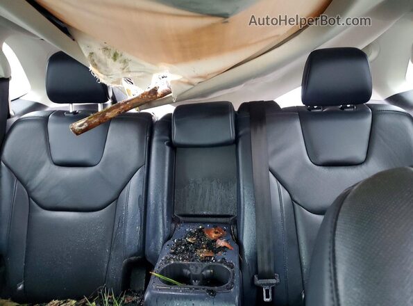 2FMPK4K90KBC67177 2019 FORD EDGE Silver Вид задніх сидінь