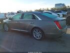 2019 Cadillac Xts Luxury Серый vin: 2G61M5S30K9130885