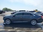 2019 Cadillac Xts Luxury Серый vin: 2G61M5S30K9157360