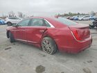2019 Cadillac Xts Luxury Red vin: 2G61M5S31K9123721