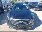 2019 Cadillac Xts W20 Livery Package Черный vin: 2G61U5S35K9148864