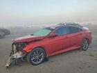 2021 Honda Civic Ex Red vin: 2HGFC1F36MH702710