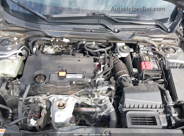2HGFC2F68LH506038 2020 HONDA CIVIC Gray Widok z tyłu