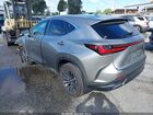 2024 Lexus Nx 250   Серый vin: 2T2ADCAZ2RC013077