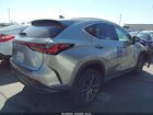 2024 Lexus Nx 250   Серый vin: 2T2ADCAZ2RC013077
