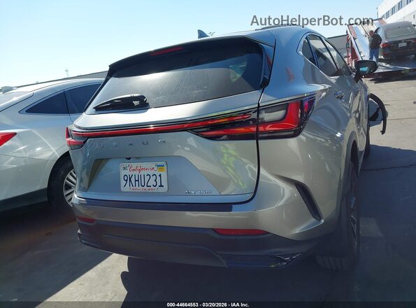 2T2ADCAZ2RC013077 2024 LEXUS NX 250 Серый 
