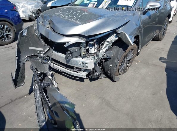 2T2ADCAZ2RC013077 2024 LEXUS NX 250 Серый 