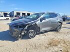 2025 Lexus Nx 250 Base Gray vin: 2T2ADCAZ2SC021203