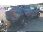 2024 Lexus Nx 250   Gray vin: 2T2ADCAZ5RC008374
