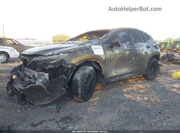 2T2ADCAZ5RC012330 2024 LEXUS NX 250 Золотой Передняя левая четверть