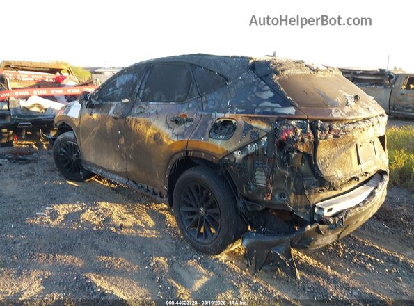 2T2ADCAZ5RC012330 2024 LEXUS NX 250 Золотой Задняя левая четверть