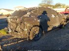 2024 Lexus Nx 250   Золотой vin: 2T2ADCAZ5RC012330