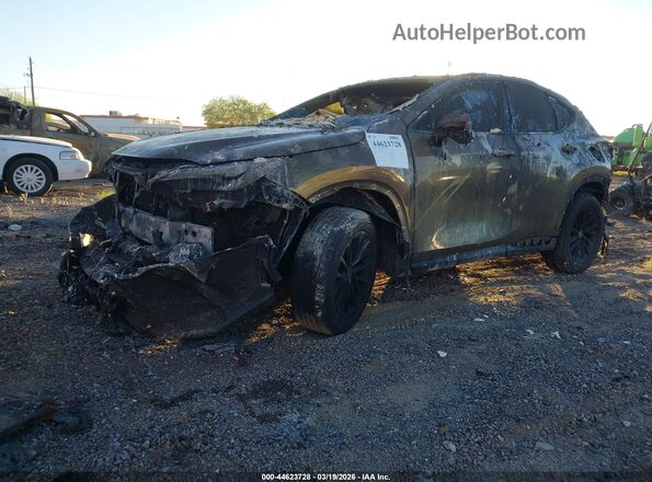 2T2ADCAZ5RC012330 2024 LEXUS NX 250 Золотой Вид спереди