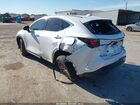 2023 Lexus Nx 250 White vin: 2T2ADCAZ7PC004503