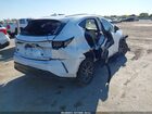 2023 Lexus Nx 250 White vin: 2T2ADCAZ7PC004503