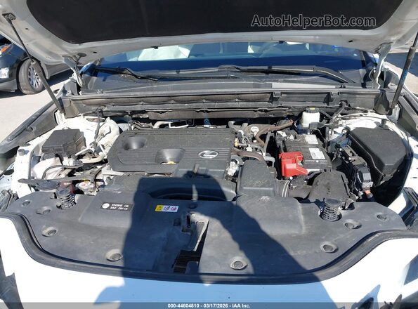 2T2ADCAZ7PC004503 2023 LEXUS NX 250 White Vista trasera